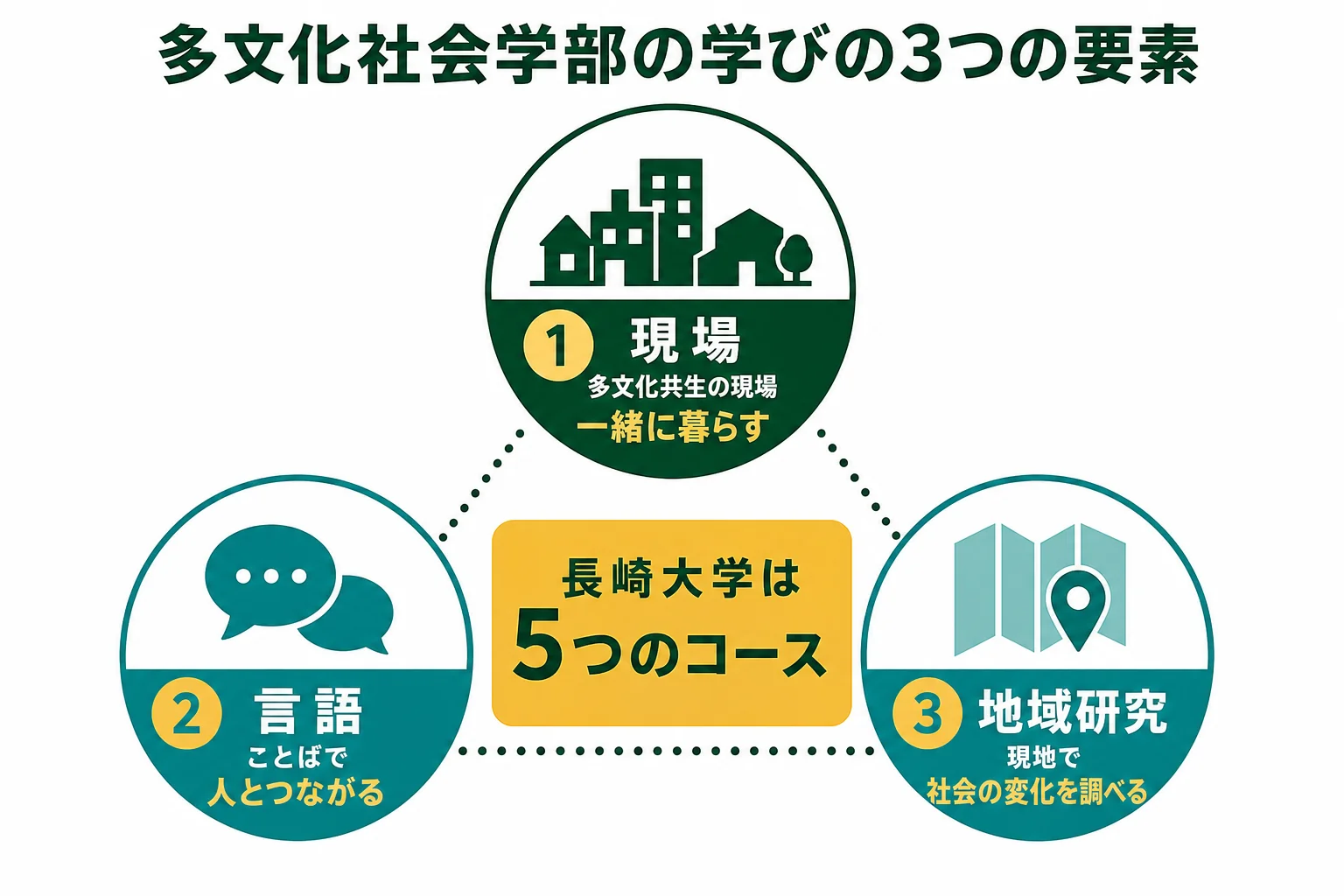 多文化社会学部の学びを、多文化共生の現場・言語・地域研究の3つの要素に分けた図解